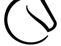 Lichess