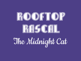Rooftop Rascal: The Midnight Cat